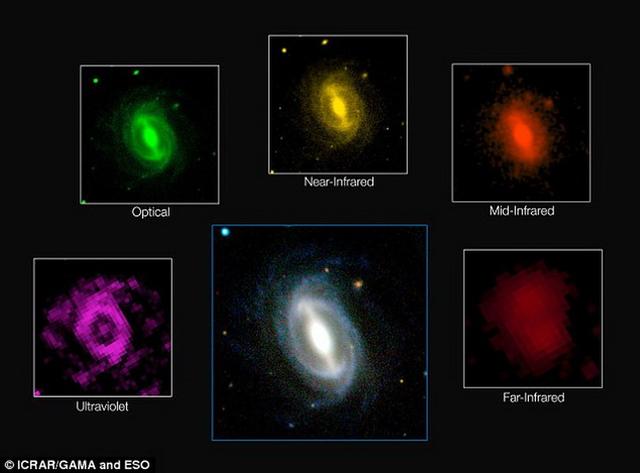 ͼʾһϵڲͬµͼоʾڲ˥ϵ20ǰһ롣