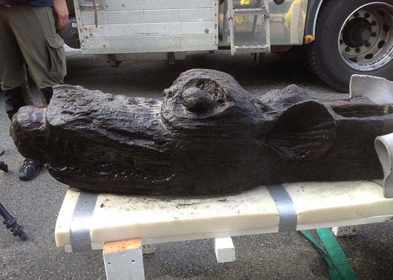 ����ϲ�������500��ǰ��ͷ��