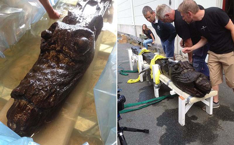 ����ϲ�������500��ǰ��ͷ��