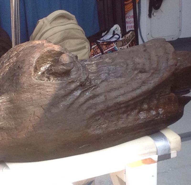 ����ϲ�������500��ǰ��ͷ��