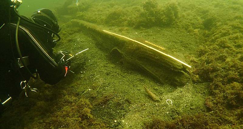 ����ϲ�������500��ǰ��ͷ��