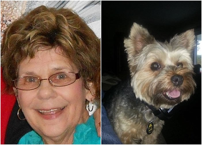 ��������Ԥ�⵽��ϣ�����ಡ��