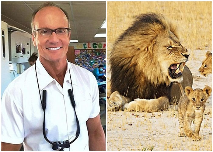 ����������ͼ��������������ҽ����Ĭ����ͼ���Ƿ���ɱ�󣬵��ְ䲼�����