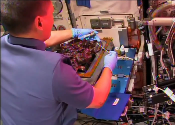 太空人正采集“太空生菜”。