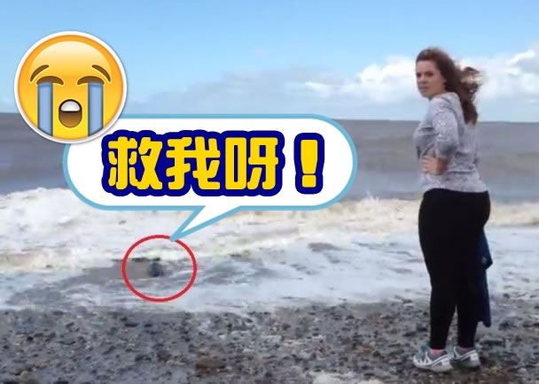 С��������Ȧ���������غ��е�ʧ�ܡ�