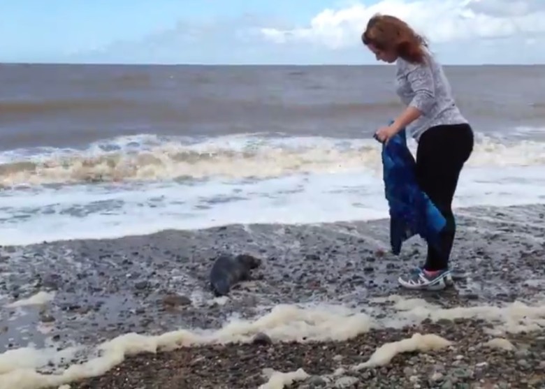 Ů����������ë������С����