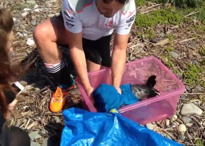 2�˽�С�����Ž������������������