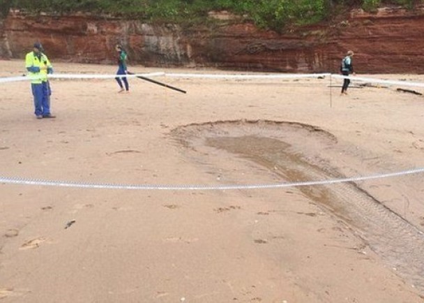 ���ֽ���������λ�÷���