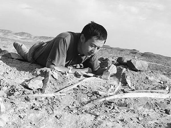 徐星在野外寻找化石