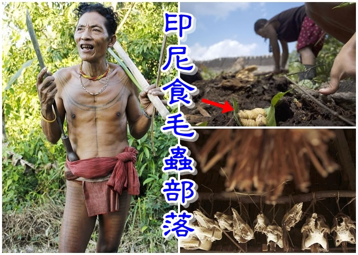 沙尼亚戈姆拍下Mentawai族人生活百态