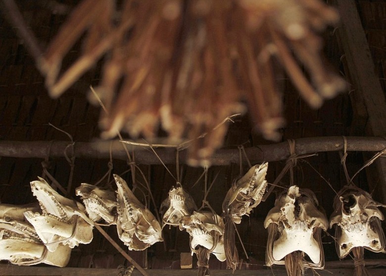 居所会以动物骨头作布置