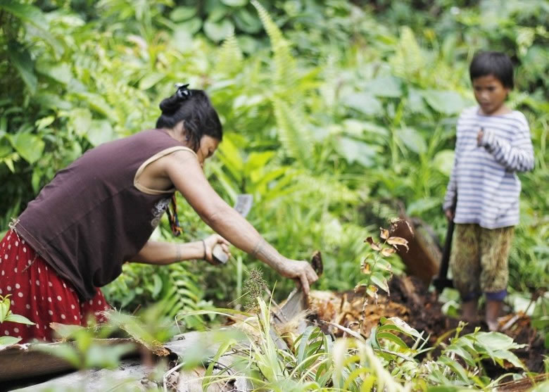 孩子帮助母亲寻找毛虫