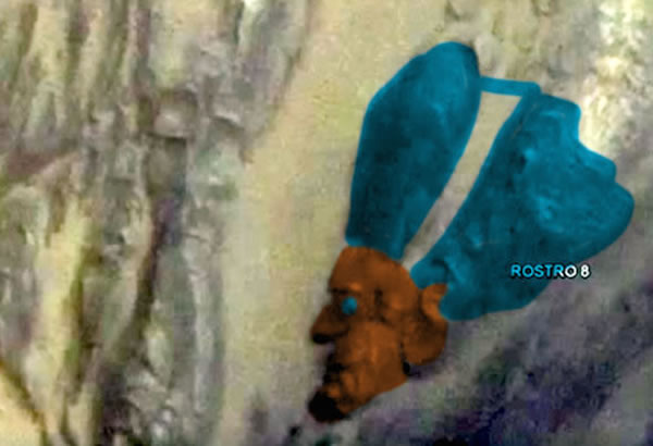 UFO目击网站(UFO Sightings Daily):火星出现古埃及人脸岩石