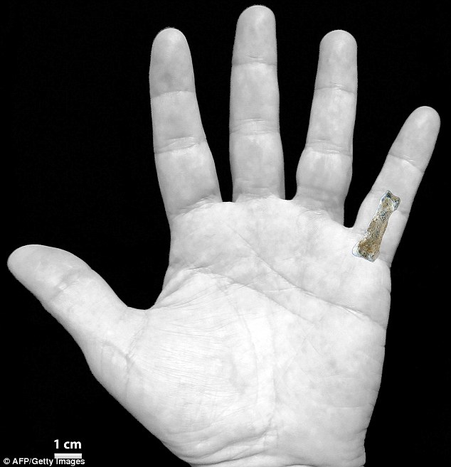 发现化石记录中最早的具有现代人特征的手骨