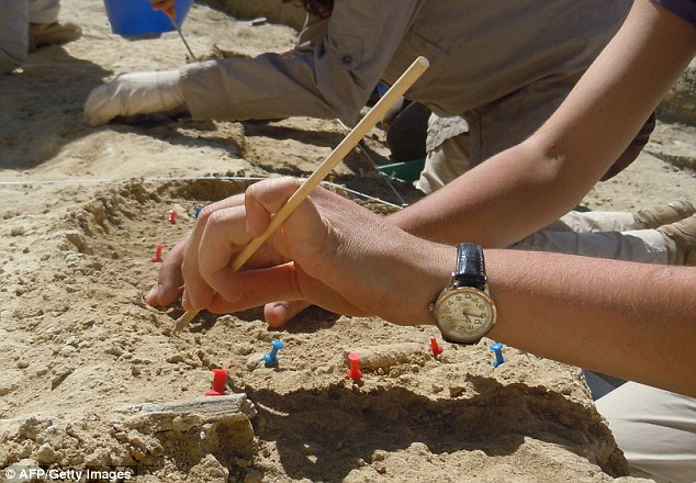 发现化石记录中最早的具有现代人特征的手骨