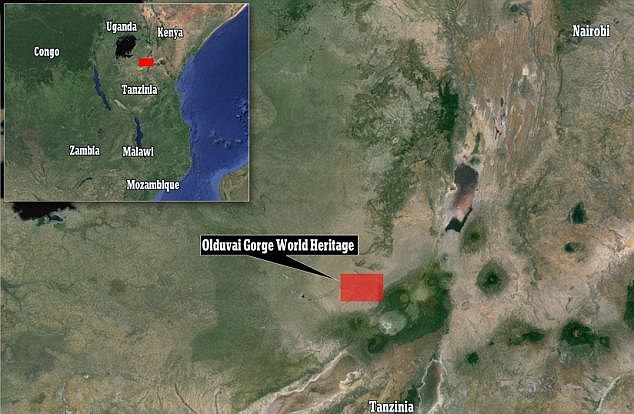 发现化石记录中最早的具有现代人特征的手骨