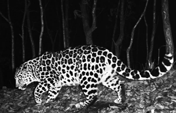 2010��10�����㵽���й���ʷ�ϵ�һ�Ŷ�������Ƭ�� ����ʦ����ѧ��������Դ����Ŷӹ�ͼ