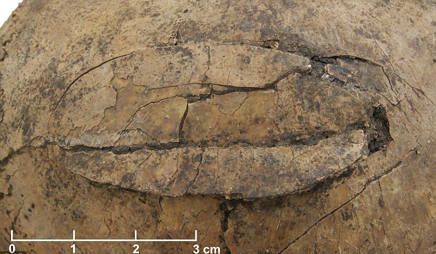 ѧڵ¹˸7000ǰĹѨΪŷʯʱĴɱ֤ݡ