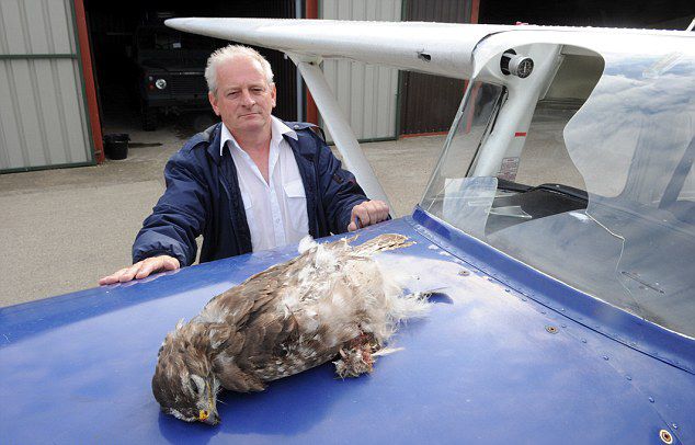 Ӣ����Ա300�׸߿�����ͺӥײ����������