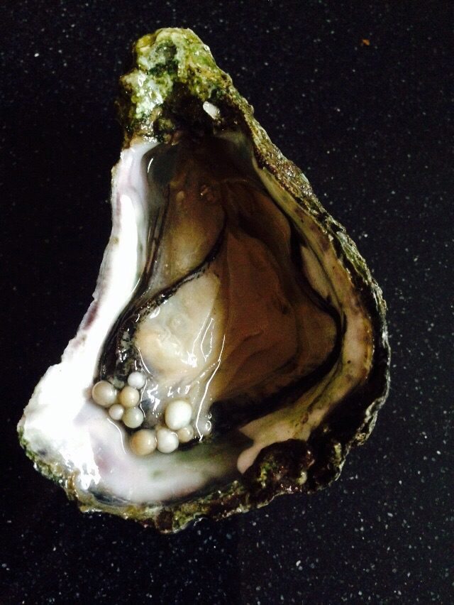 ���������Ӳμӻ������һ��ĵ���з���10������