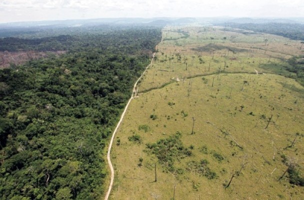 巴西北部帕拉州一处地区显示砍伐对亚马逊雨林造成的破坏。