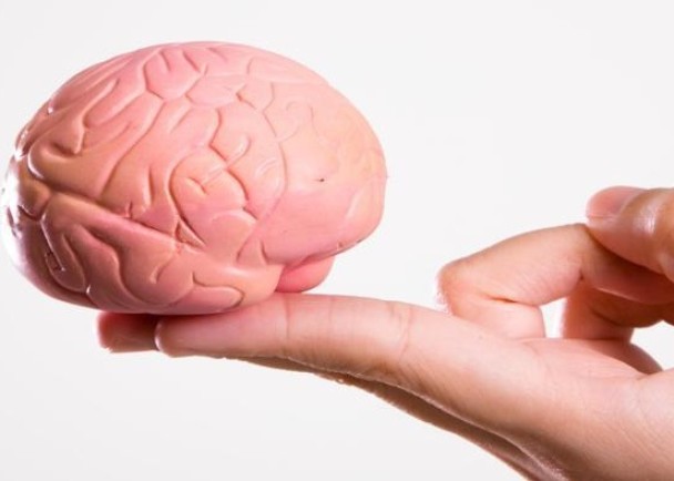 ר���Ը�ϸ����ֲ����ʵ�������ԡ���