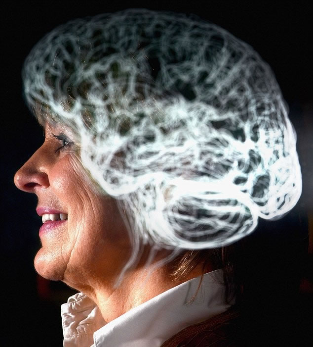 ��������Բ����ӵĽṹ��һֱ�ǿ�ѧ���о���Ŀ�ꡣ