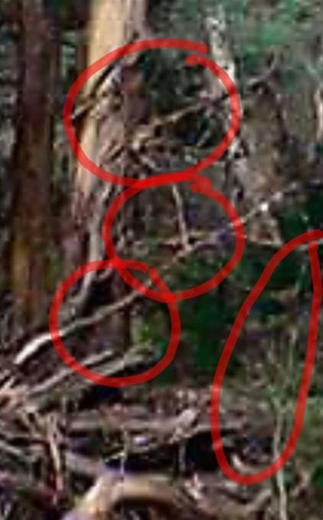 有网民看到照片内有多个鬼影(红圈),信不信由你。