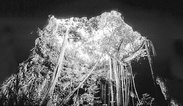 Loltun灰岩洞凉爽的气候可能保护动物骨头中的DNA免受尤卡坦半岛高温的侵袭。(RICHARD A.COOKE)