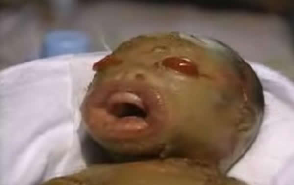 ��·����������ħӤ����ʵ�Ǹ����ҹ���