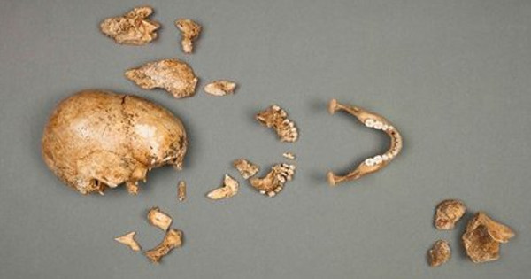 �޴��������̵¹��ɴ���٣�