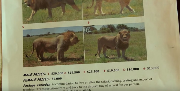 目录上还有价钱