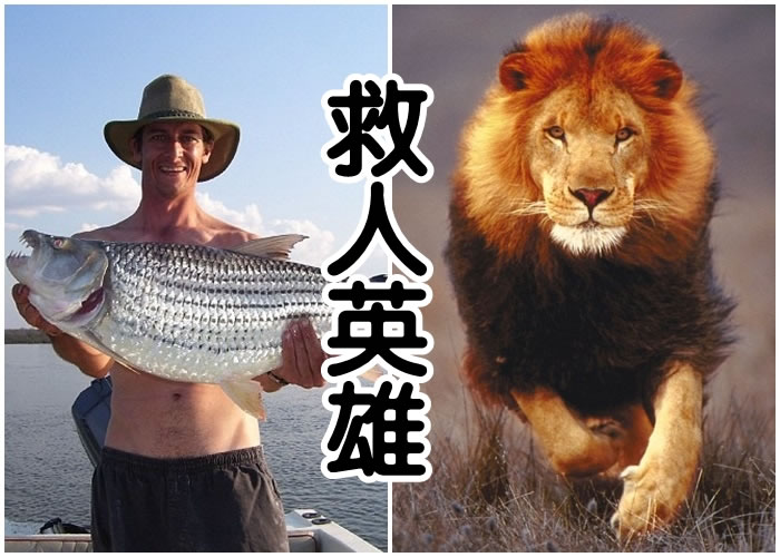 ˹Τ��˹����ͼ���������ˣ���ͼ������ʨ�ӡ�