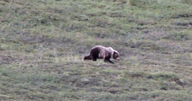 ˹ݵҹ԰Ϊ˺ɽϷ ظ20