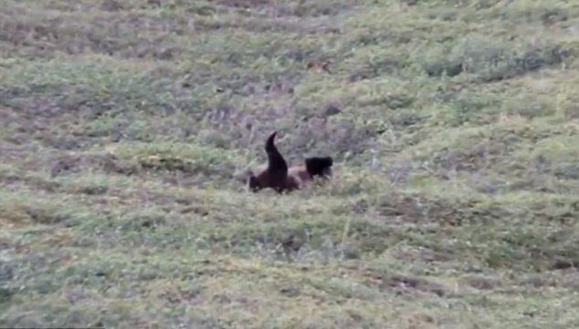 ˹ݵҹ԰Ϊ˺ɽϷ ظ20