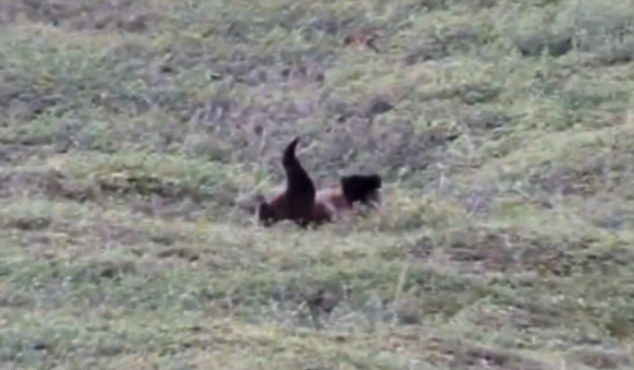 ˹ݵҹ԰Ϊ˺ɽϷ ظ20