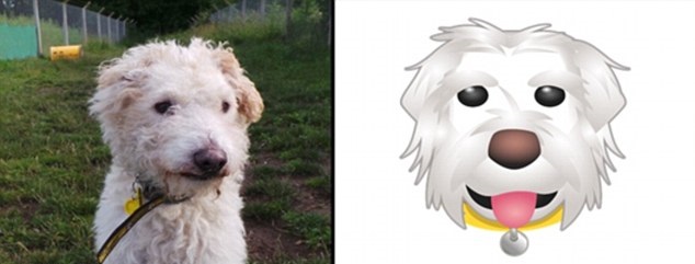 ������Ű�����ʵ����Ϊ������