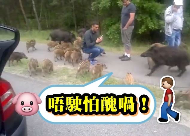 ��Щ������ʳ����������Χס���ӡ�