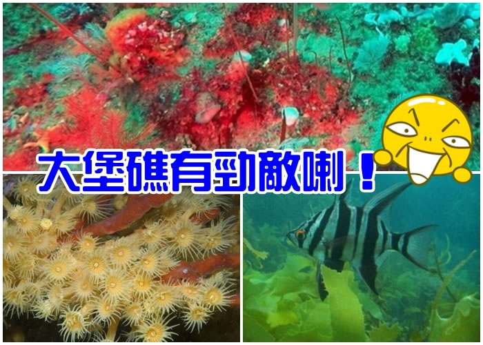 威尔森岬国家公园百米深的水底,有一个深海珊瑚礁。