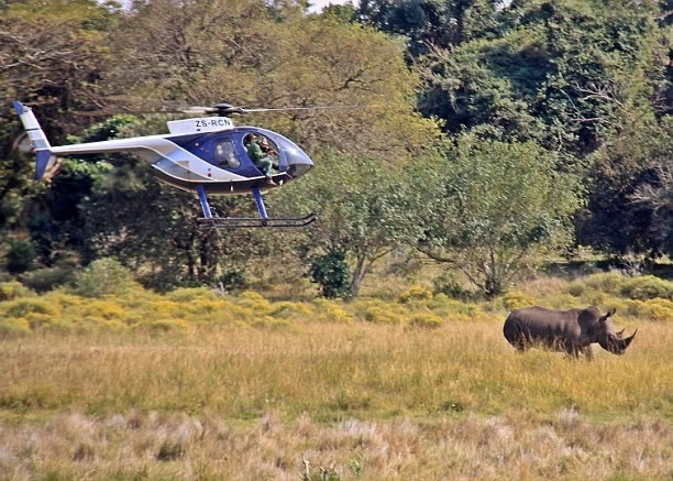 工作人员驾直升机追踪的园内的犀牛