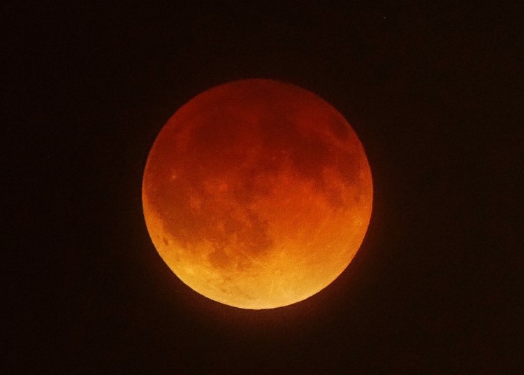 ����Ӣ������������ͬһ�գ��������������������ͼΪȥ����ֹ���Ѫ�¡�