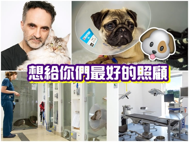 菲茨帕特里克(左上图)创办的宠物癌症医院(左下、右下图)设备先进