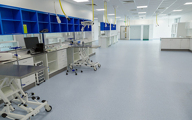 宠物治疗室非常宽阔