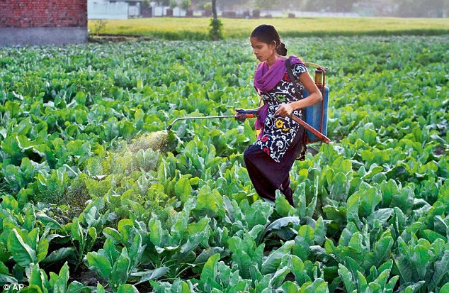 一种杀虫剂应用方法改善杀虫剂针对具有耐药性的蚊子的有效性