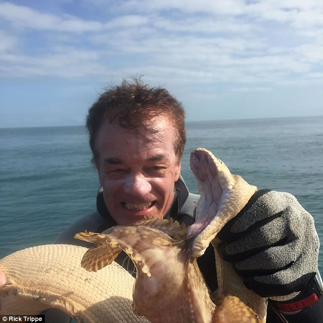 ھĵֱо綾ĺ߸ʯͷ㻥ҧĺ