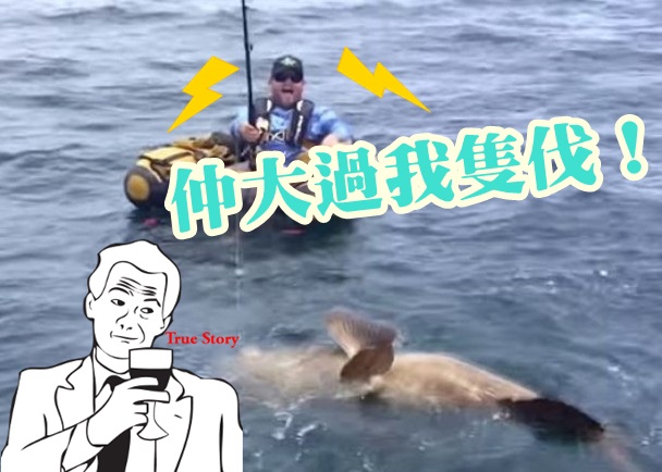 �������ӻ�����Ƥͧ���󺣵�����