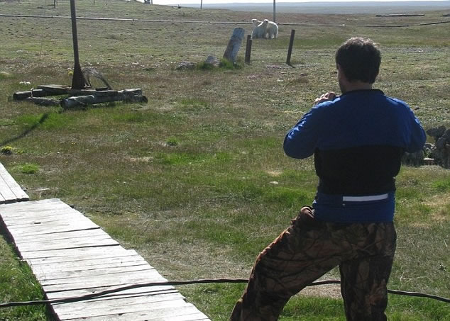 由于北极熊围住了基地的四周,研究员无法上前。