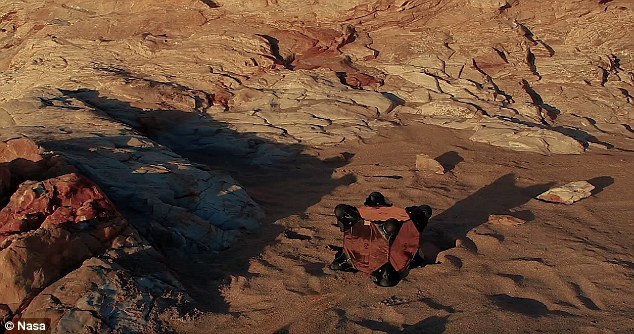 设定好方向之后,“刺猬”漫游者或者利用两个长的突起进行远距离跳跃,或者翻滚到达近距离的目的地。