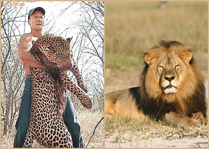 ����Ĭ���󣩼�Ƶ��ղ�֪�Լ�ɱ���������������ң���