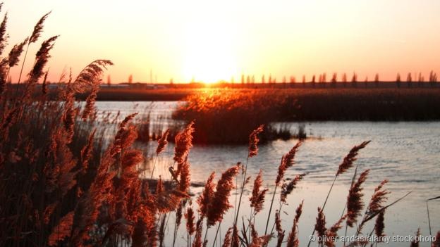 在罗马尼亚东南部康斯坦塔县有一处最神秘、最隐蔽的地下环境--莫维勒洞穴。莫维勒洞穴在上世纪被发现之前,已经与世隔绝了数百万年,而且洞穴内充满了毒气。这是罗马尼亚